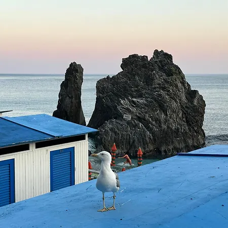 Wave House Cosy Yet Modern In A Prime Location, Oceanfront, Private Terrace And Air Conditioning Monterosso al Mare