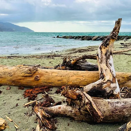 Wave House, 5 Terre Apartament Monterosso al Mare