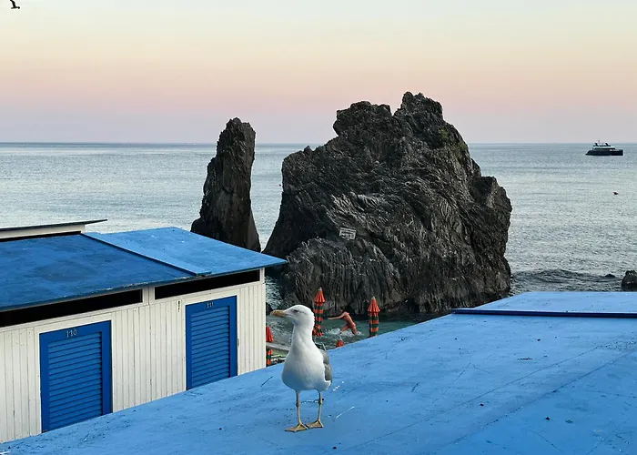 Wave House, 5 Terre مونتيروسّو ال ماري